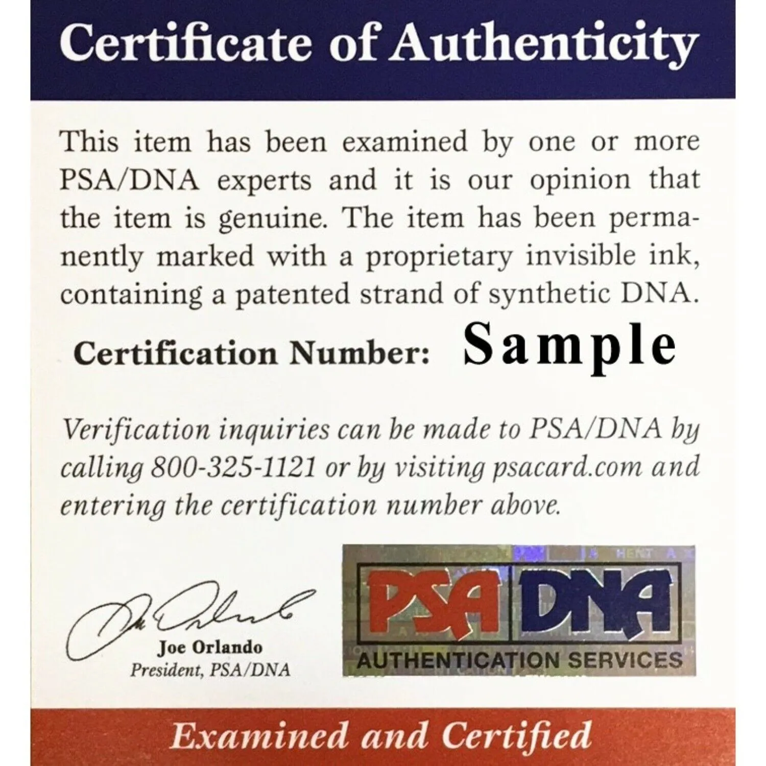 Alonzo Mourning Autographed Miami Signed Basketball 16x20 Photo PSA DNA COA