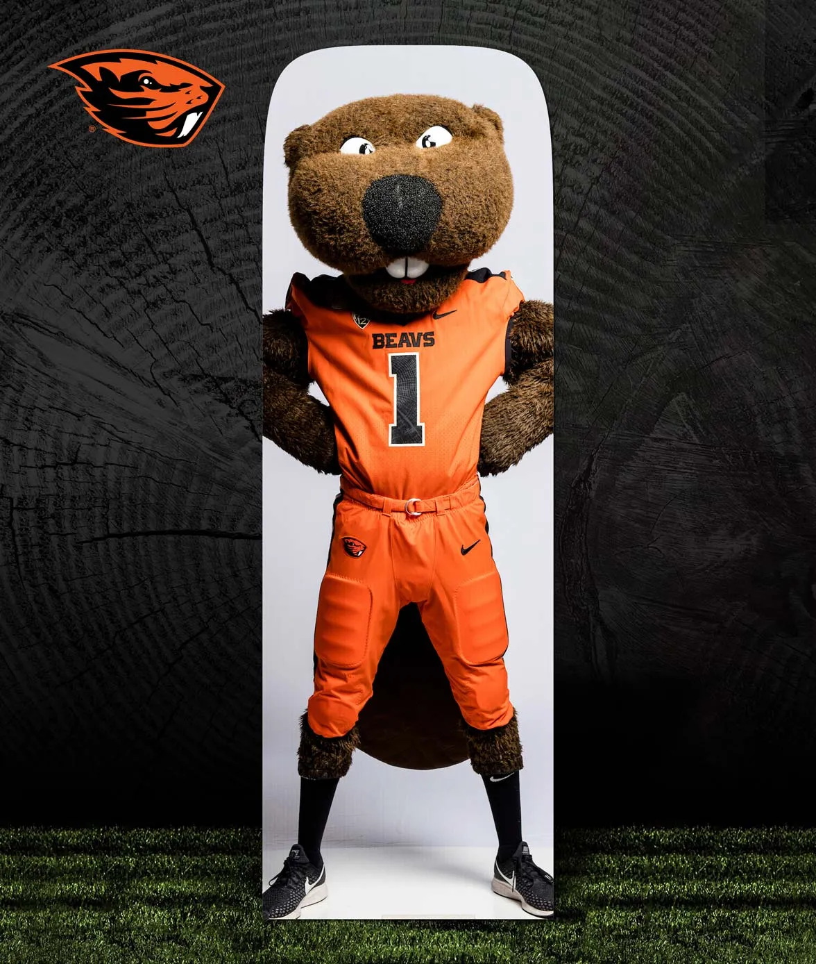 Beavers Gill Coliseum Standing Fan Cutout
