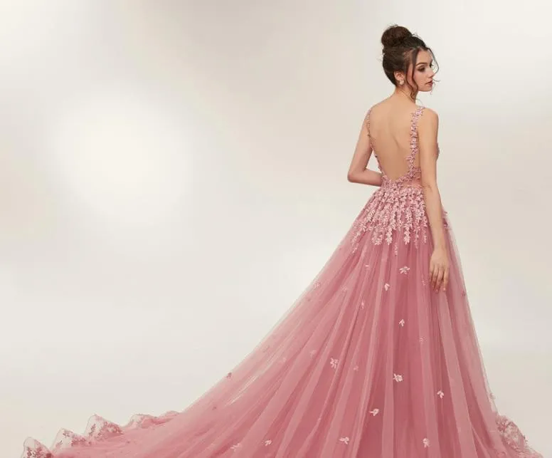 Blush A line Prom Dresses Backless Long Train Lace Appliques Evening Dress