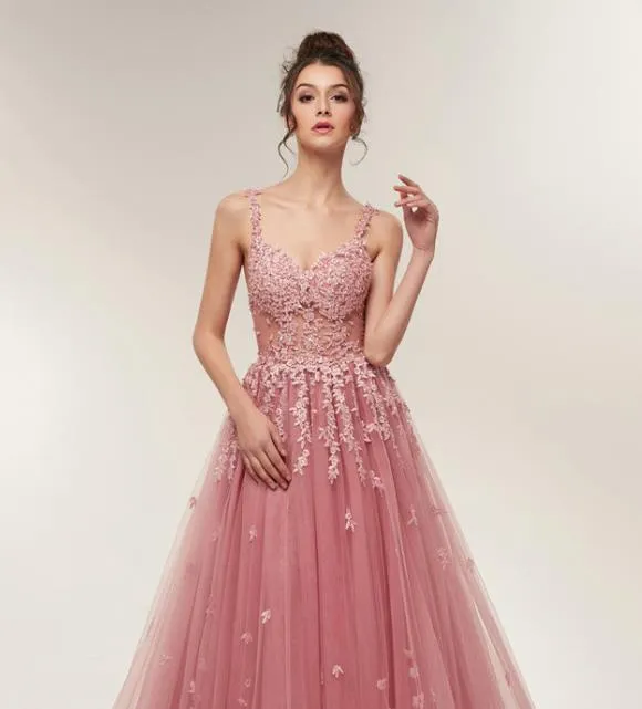 Blush A line Prom Dresses Backless Long Train Lace Appliques Evening Dress