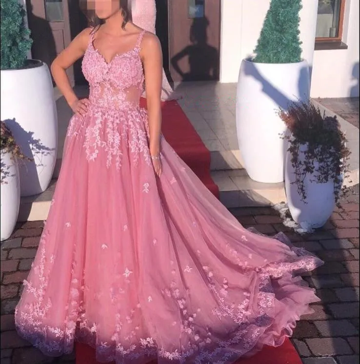 Blush A line Prom Dresses Backless Long Train Lace Appliques Evening Dress