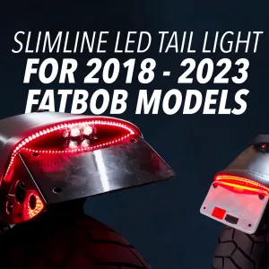 Eagle Lights SLIMLINE Auxiliary Run, Turn Signal and LED Brake Light for for 2018  Harley Davidson Fat Bob