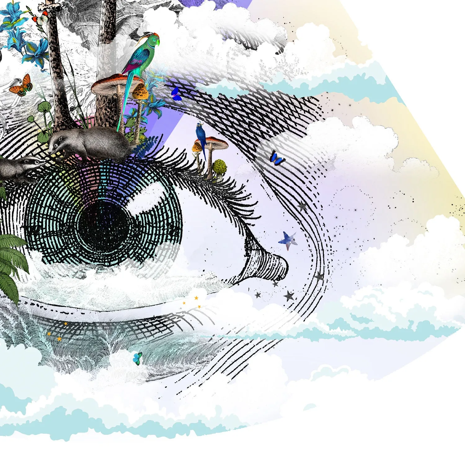 Eg se tig - Rainbow eyed - Art Print Collection