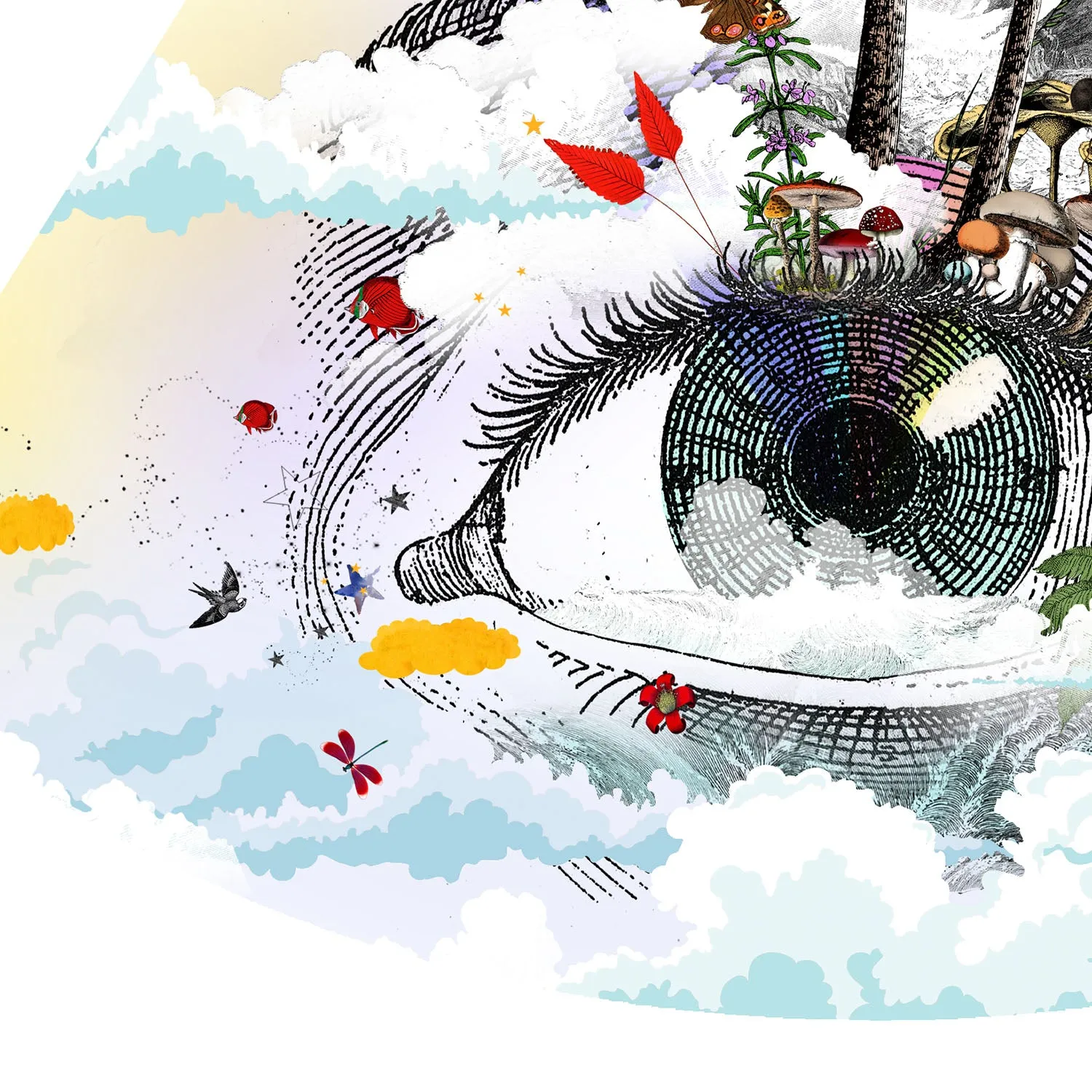 Eg se tig - Rainbow eyed - Art Print Collection