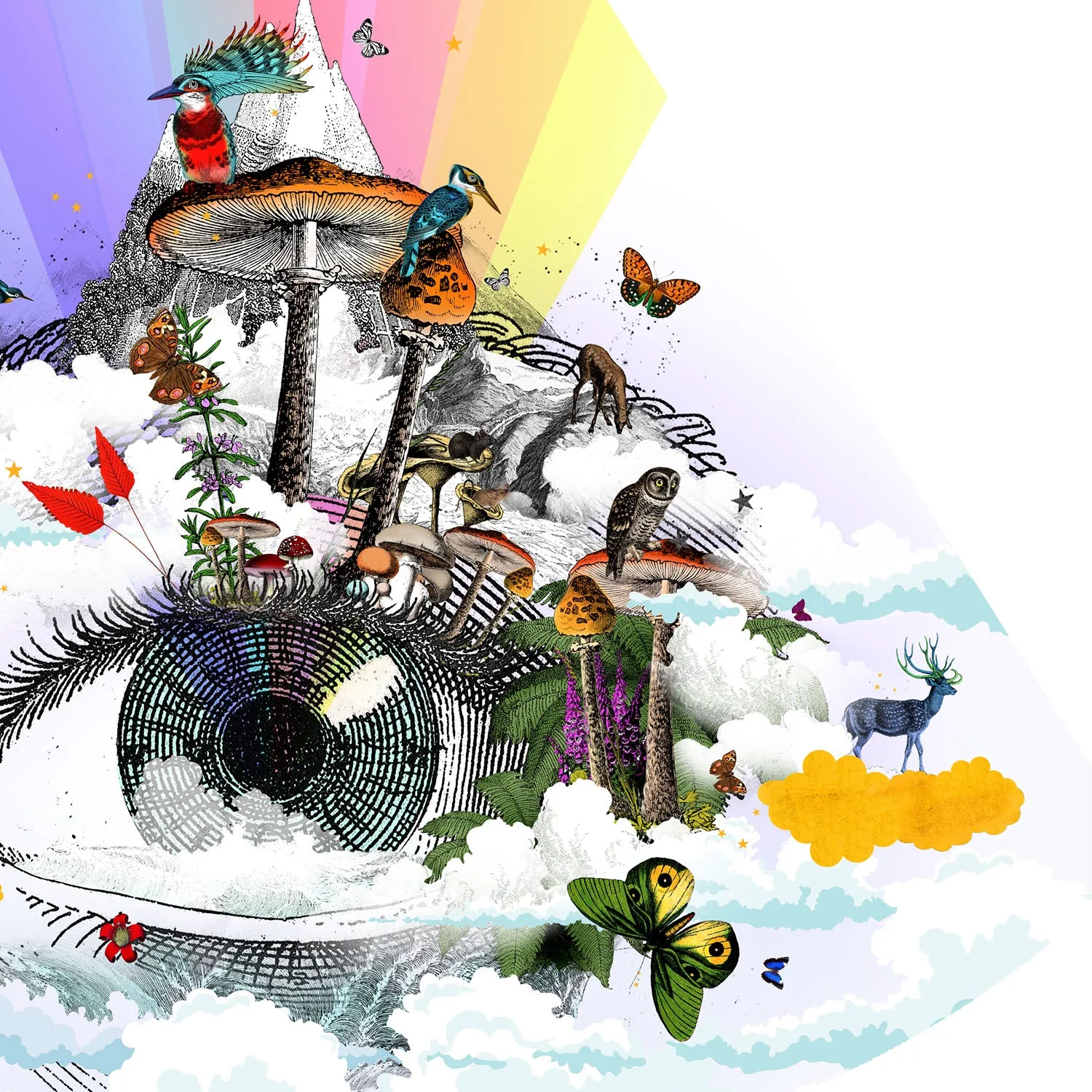 Eg se tig - Rainbow eyed - Art Print Collection