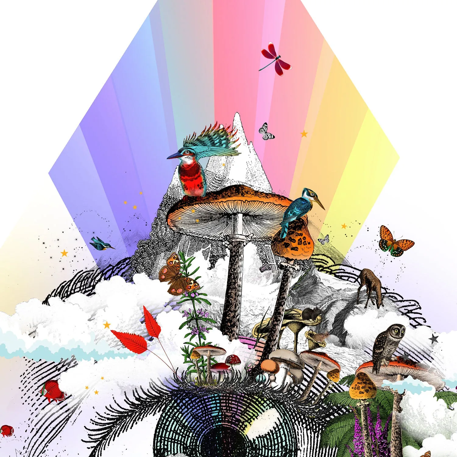 Eg se tig - Rainbow eyed - Art Print Collection