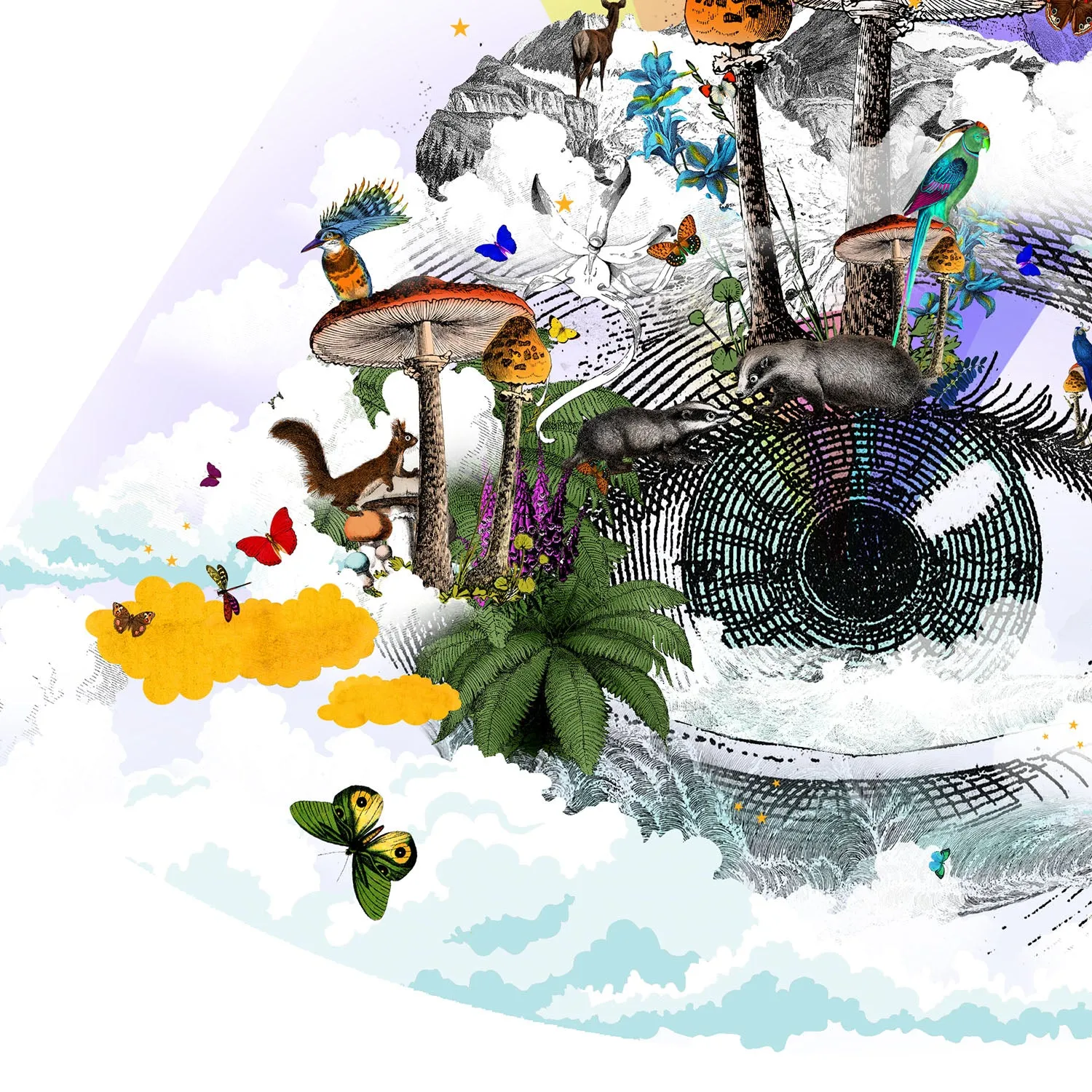 Eg se tig - Rainbow eyed - Art Print Collection