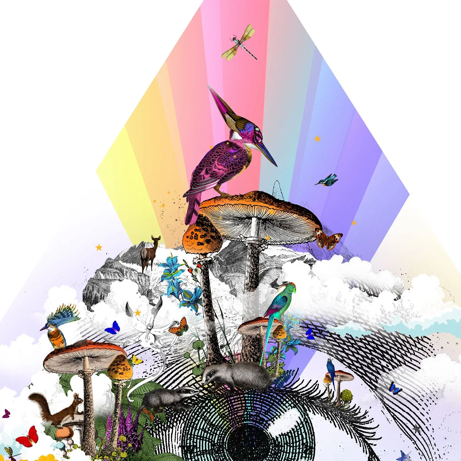 Eg se tig - Rainbow eyed - Art Print Collection