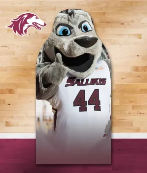 Salukis Fan Cutouts
