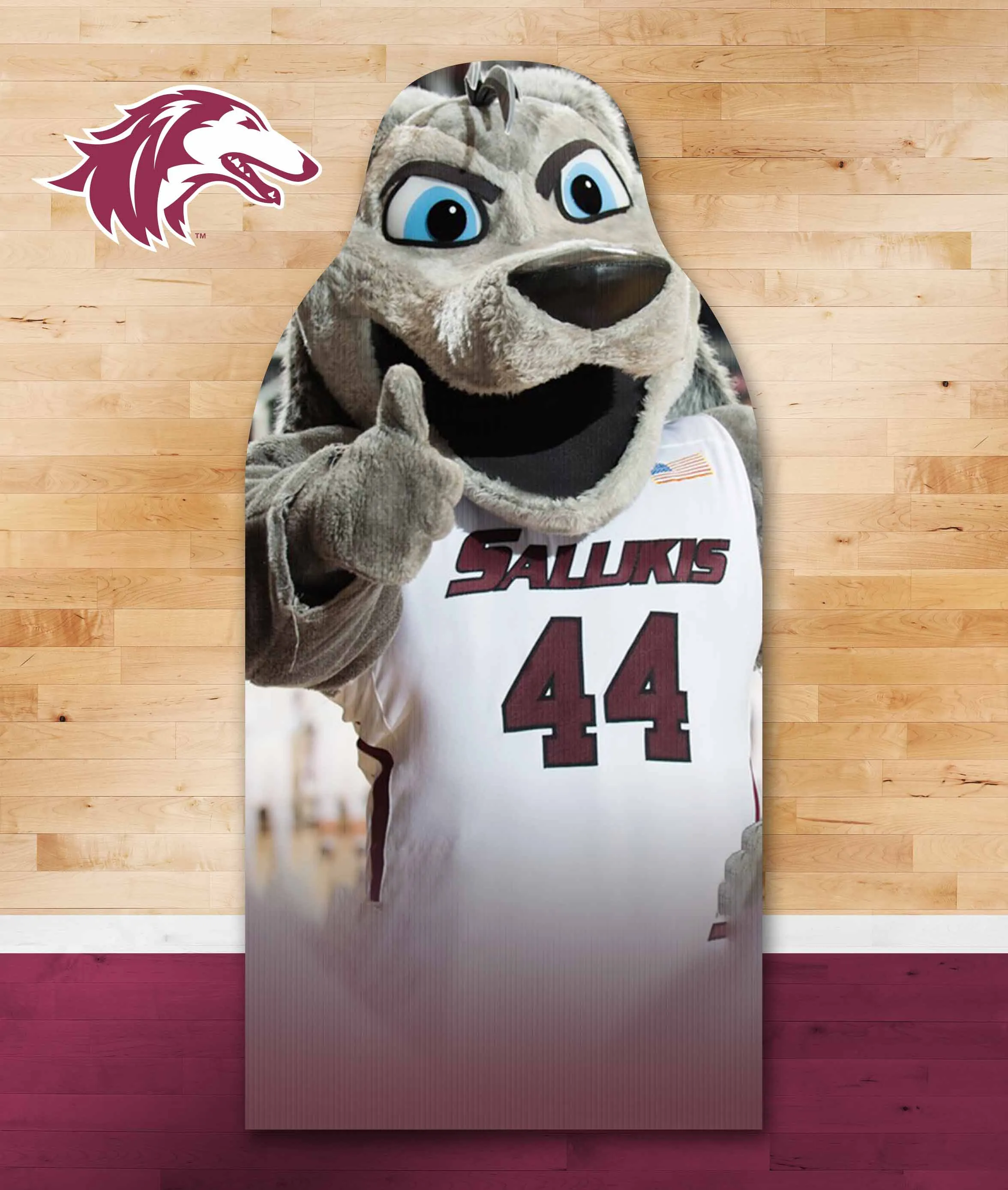 Salukis Fan Cutouts