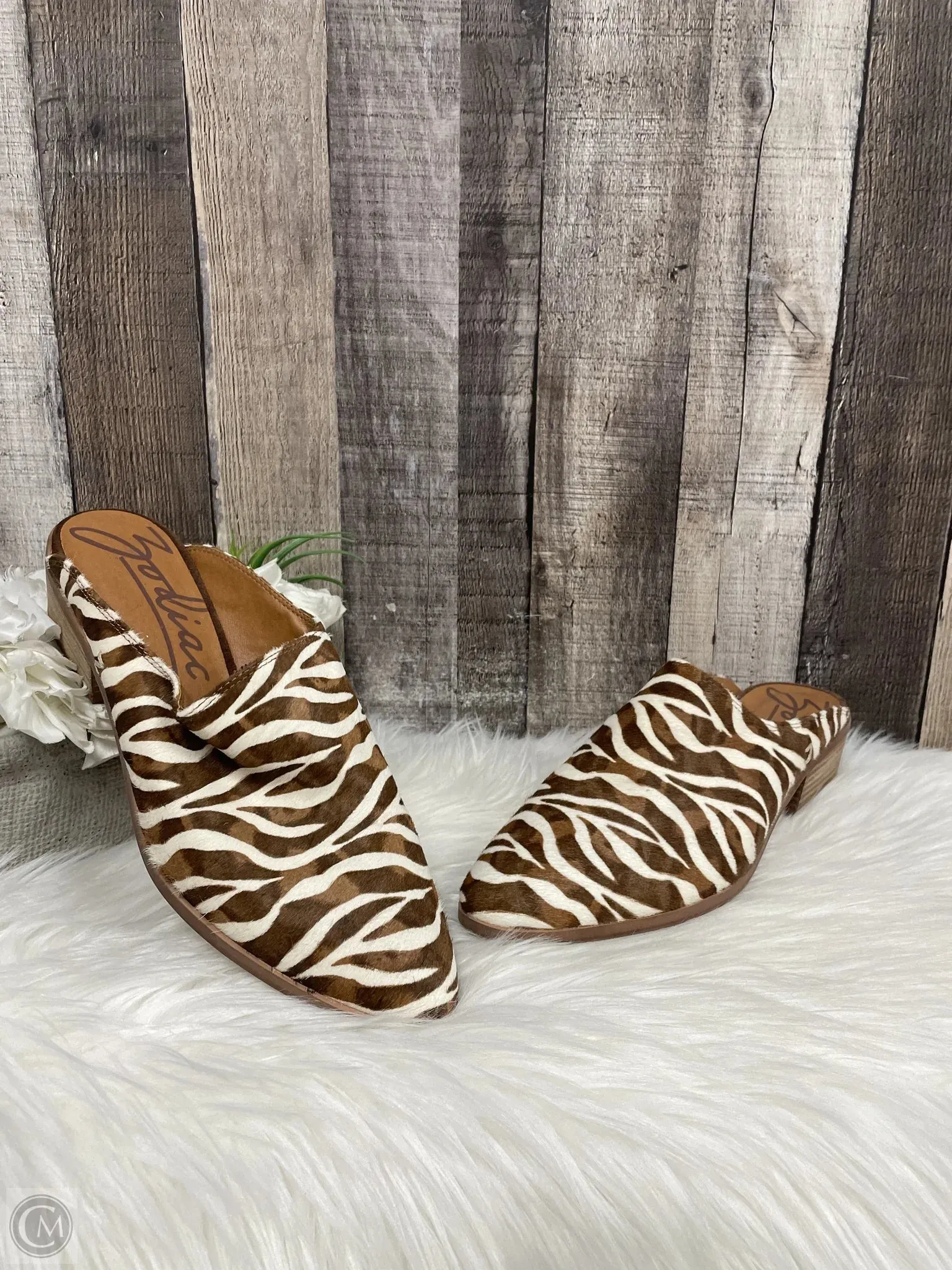 Shoes Heels Block By Cme In Animal Print, Size: 10