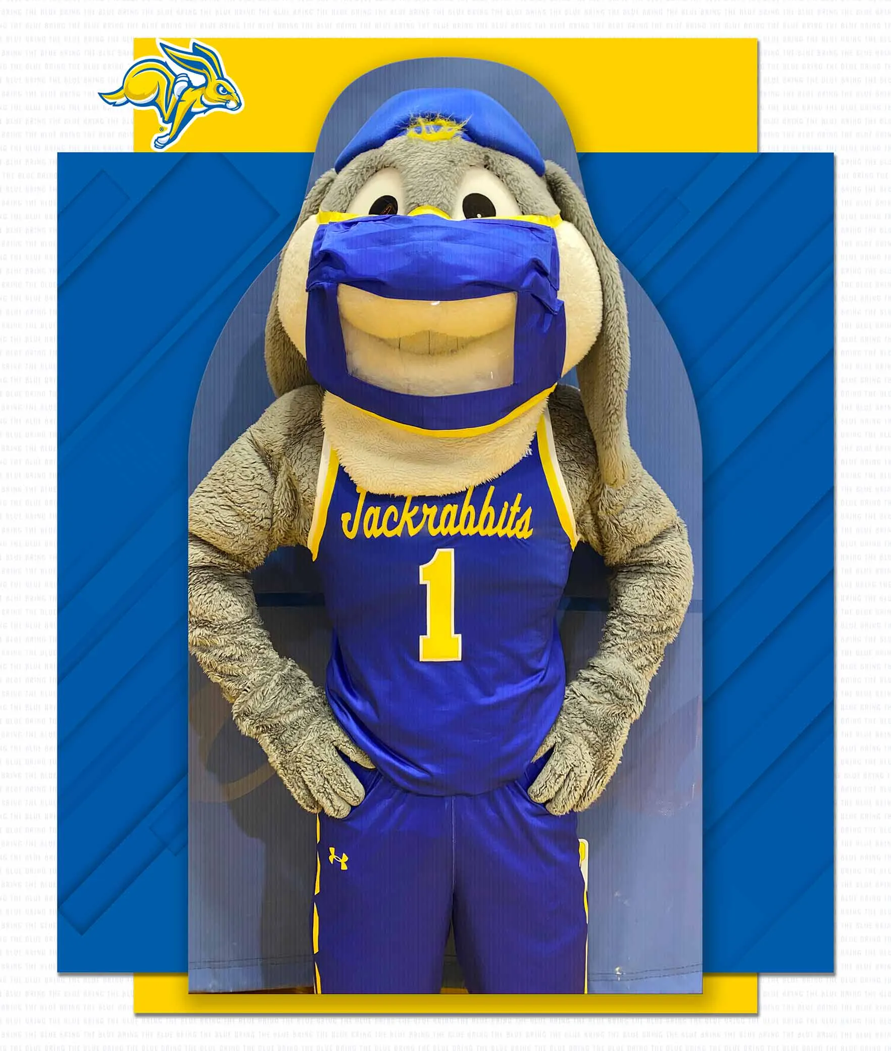 South Dakota State Fan Cutouts
