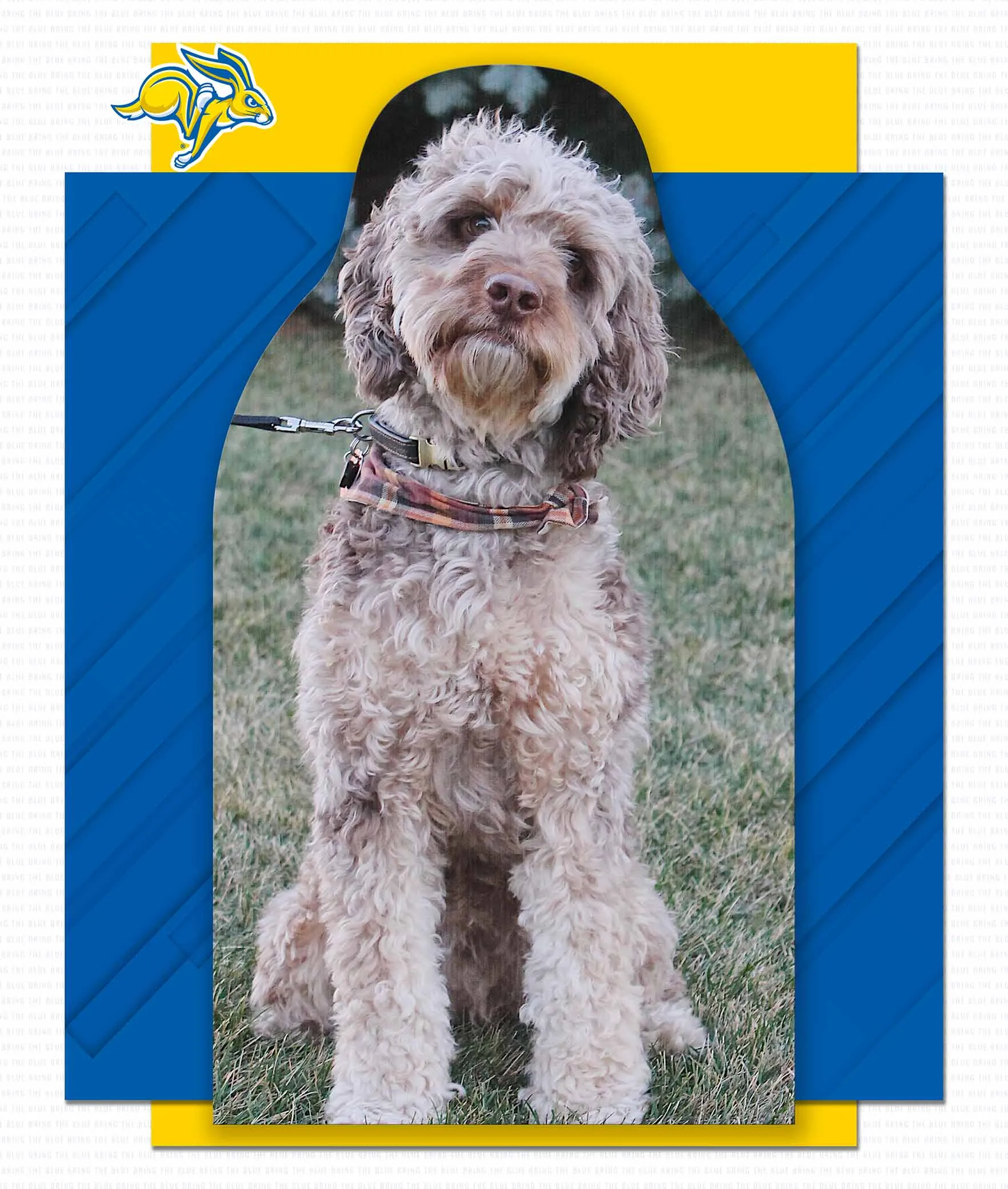South Dakota State Fan Cutouts