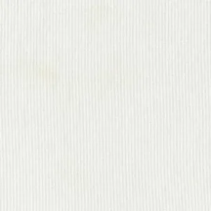 Sunburst Stripe Dove by Dear Stella