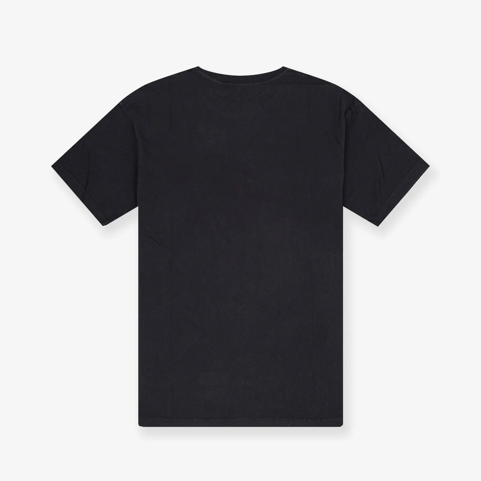 Vancouver Grizzlies Incline Stack Vintage Tee - Faded Black