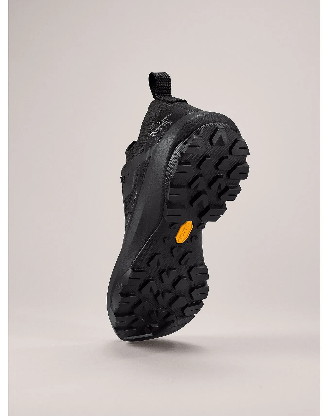 Vertex Alpine GTX Shoe (Women's) - Past Season