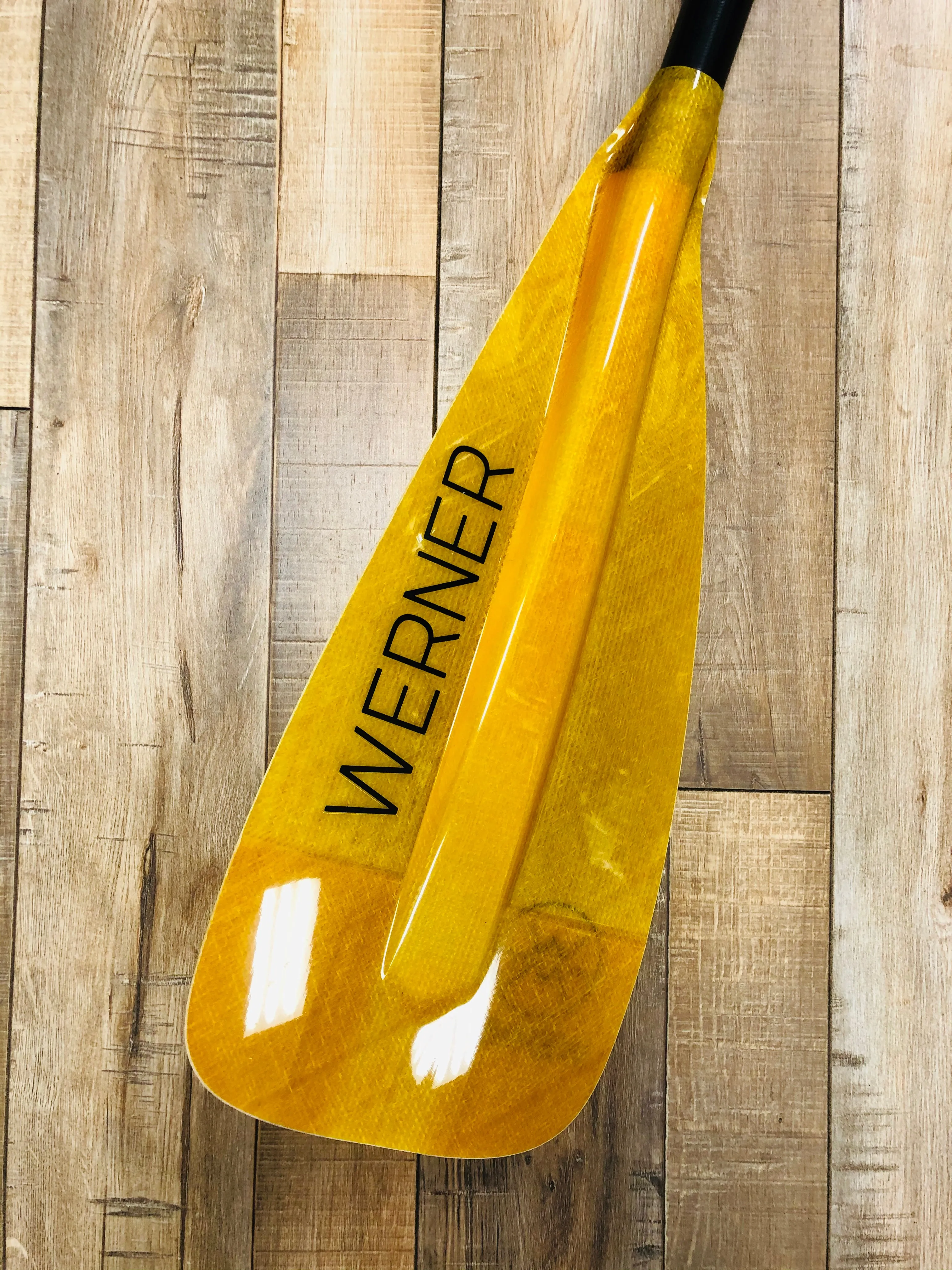 WERNER SESSION - AMBER