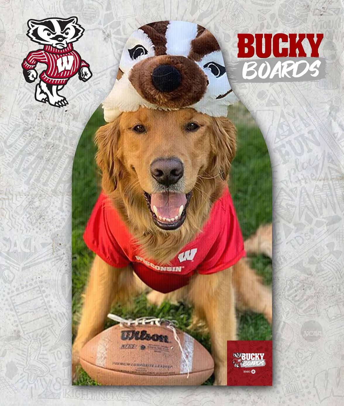 Wisconsin Students - Bucky Boards